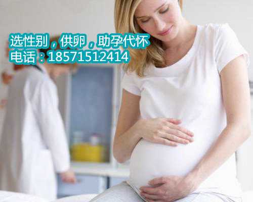 孕宝代生宝宝包儿子,1武汉试管婴儿囊胚移植成功率高